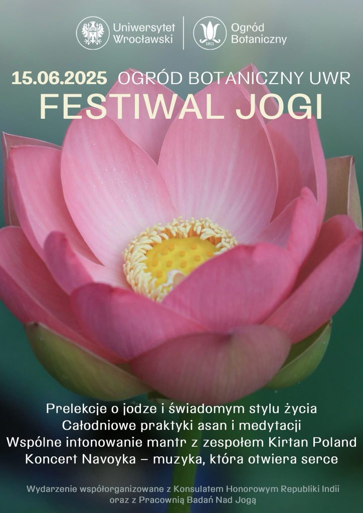 festiwal jogi